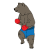 Boxing bear
