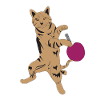 Table tennis cat