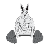 Hare sports