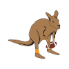Kangaroo football
