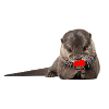 Otter love gift idea