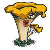 mushroom