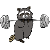 Workout vaskebjørn - cool gave til gymnastiksalen