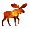 Moose animal universe