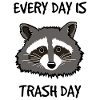 raccoon