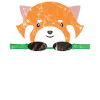 Animals Tiger