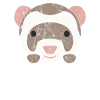Cute Animals
