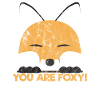 Animals You are Foxy!