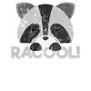 Animals Panda