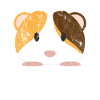 Cute Animals