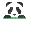 Animals Panda
