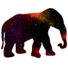 Elephant animal galaxy universe
