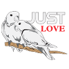 turtledoves
