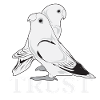 turtledoves