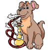 shishadog dog hookah hookah