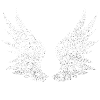 Angel wings, white wings