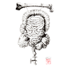 guts1
