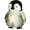 Little penguin
