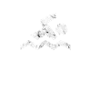 Swimmers swim