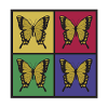 Butterflies pop art