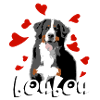 Bouvier