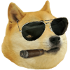 doge crack