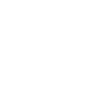 Pirate Skull