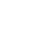 Crazy Cat Lady