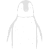 manchot