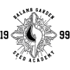 Balamb Garden Graphic