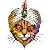 Fakir cat
