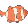 Fish Clownfish
