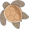 Sea turtle