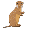 Ground squirrel all clear