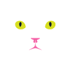 Chats Visage Yeux