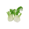 fennel
