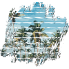 Palm trees