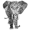 elephant pattern