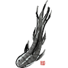 Koi Fish