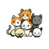 Crazy cat lady