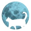 Cat full moon