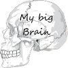 My brain