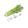 celery