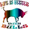 Stier