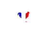 Champion du monde