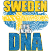 Suède drapeau Scandinavie Stockholm cadeau