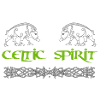 Celtic Spirit - boar