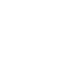 Basset Hound