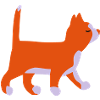 Kitten