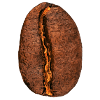 coffee bean